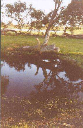 sociology of Luke's gospel