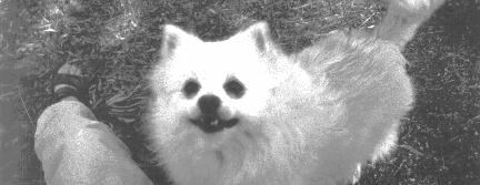 h01